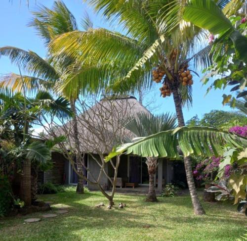 Brahmanhut - Eco Hut Experience In Harmony With Nature, Wellbeing And Spirit Bain Boeuf 외부 사진